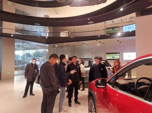 中国汽车服务业两会代表走进上汽荣威、特斯拉、蔚来 探索创新与协同发展之路