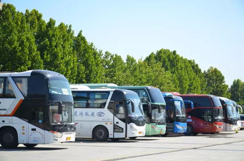 第十八届中国临沂汽车用品及配件展览会盛大开幕，助推中国汽配产业升级